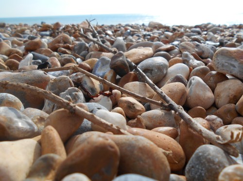 Shingle beach with twigs
