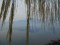 DSCN0963